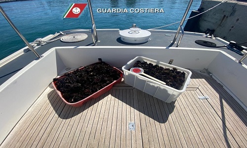 Guardia costiera contrasto alla pesca illegale 