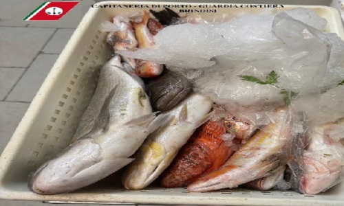 Brindisi Capitaneria di Porto. Contrasto alla pesca illegale 