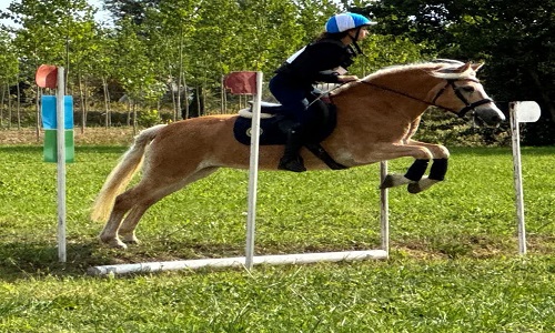Equitazione in evidenza i pugliesi ai campionati italiani 2026 di Cross Country