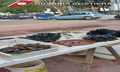 Pesca illegale sui ricci di mare.Sequestrati 300 esemplari dalla Guardia costiera  