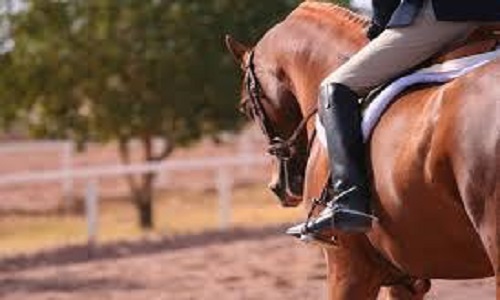 Circolo Mitrano impariamo ad andare a cavallo