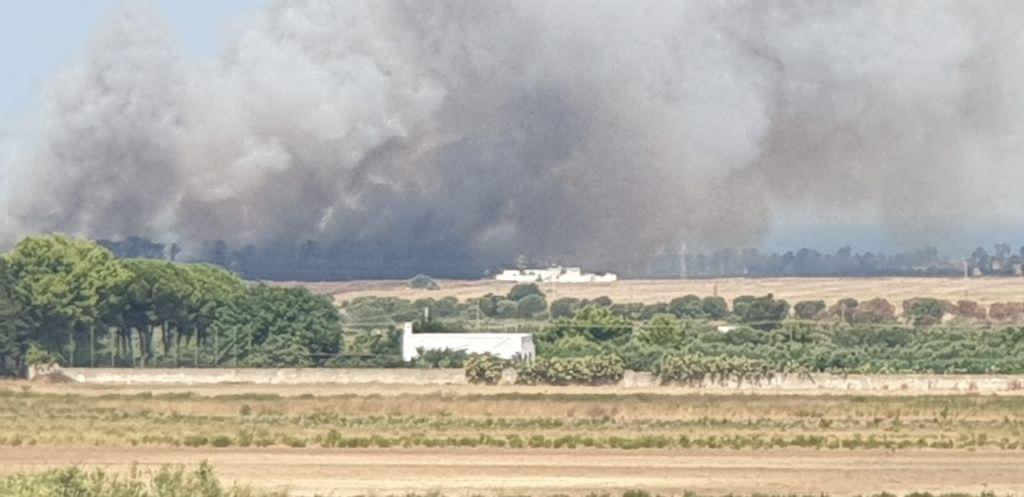 Brindisi: ennesimo incendio sul litorale