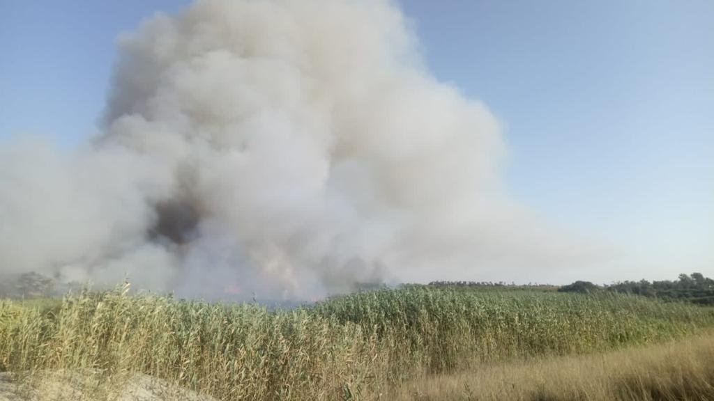 Brindisi: Vasto incendio sulla litoranea in località Giancola