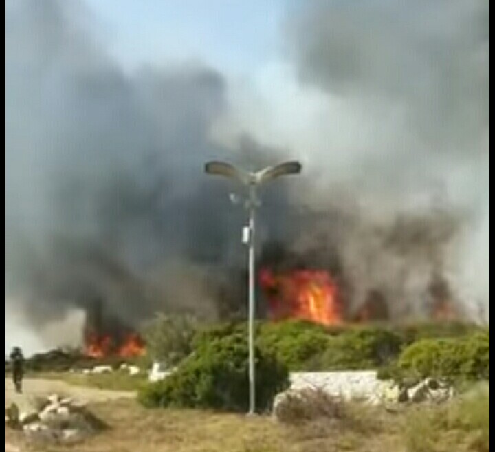 Brindisi: tre incendi sul litorale nord. Fiamme ad Acque Chiare, Giancola ed Apani