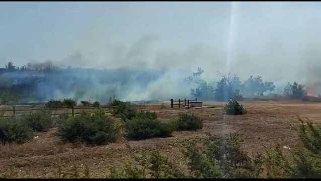 Brindisi: tre incendi sul litorale nord. Fiamme ad Acque Chiare, Giancola ed Apani