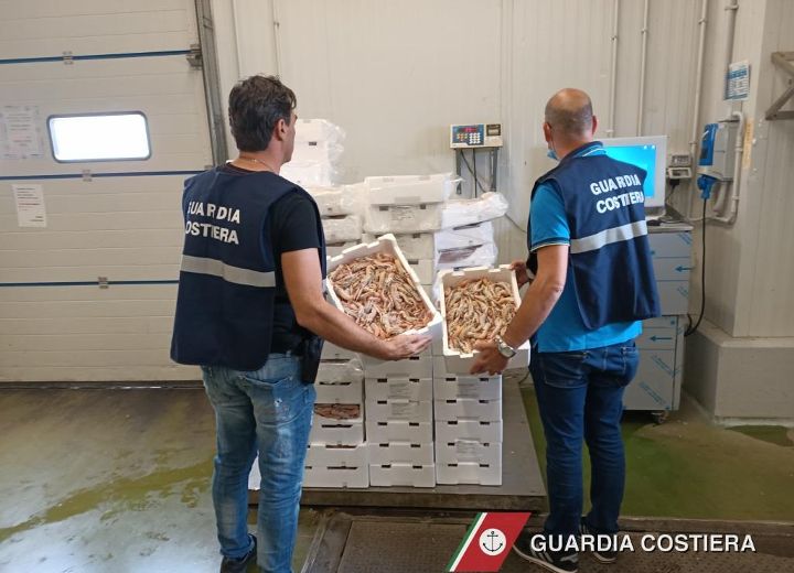 Brindisi: sequestrato prodotto ittico privo di tracciabilità 