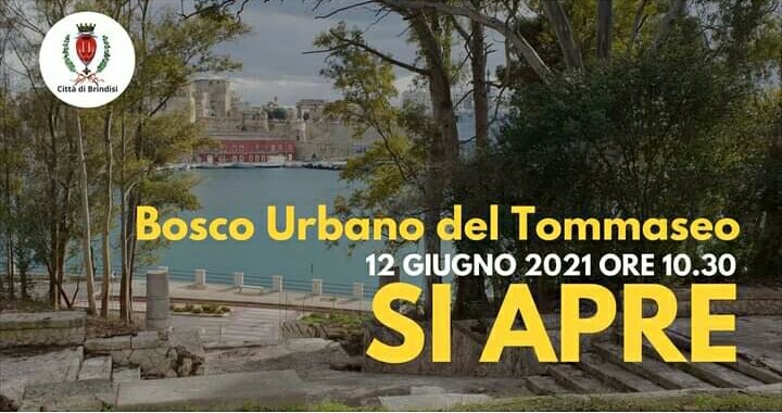 Sabato l'inaugurazione del bosco urbano del Tommaseo