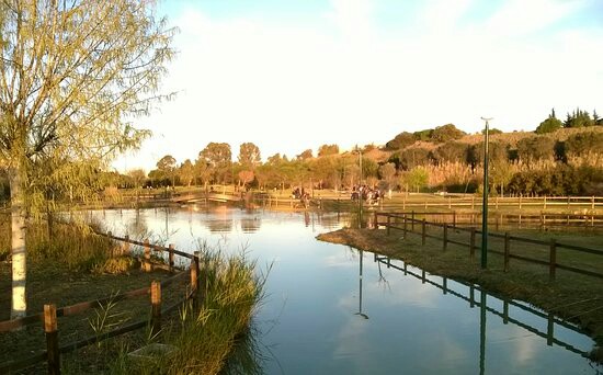 Giornata mondiale dell’Ambiente: le iniziative