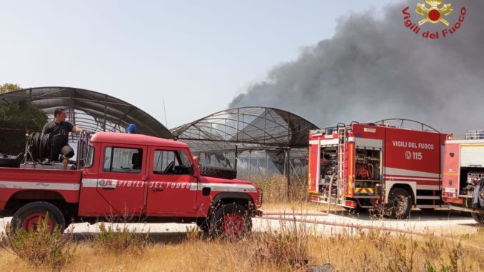 Mesagne: vasto incendio in un vivaio sulla statale 7