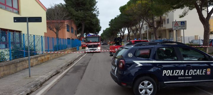 Brindisi: grosso ramo cade in strada. Intervento dei Vigili del fuoco
