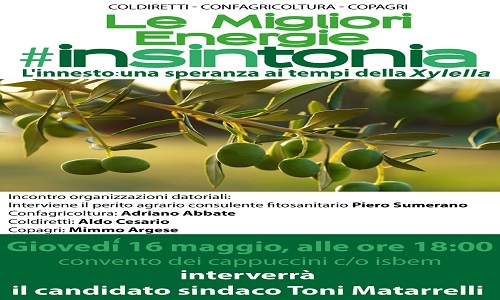 Agricoltura, Matarrelli incontra le organizzazioni datoriali