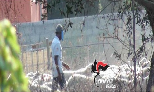 Tuturano:  Il G.I.P. convalida l’arresto della coppia accusata di intermediazione illecita e sfruttamento del lavoro nei confronti di un 20enne originario del Gambia