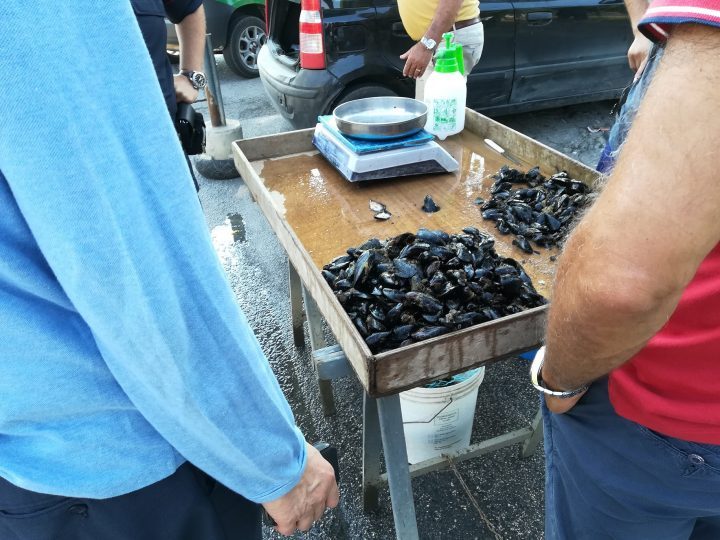 Brindisi: Carabinieri Forestali e Nas sequestrano circa 25kg di cozze nere
