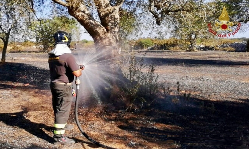 Erchie: distrutti dalle fiamme venti ettari di macchia mediterranea 