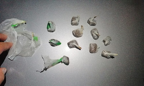 Questura, “Task Force” per i controlli amministrativi: Denunce e sequestri sul litorale di Ostuni