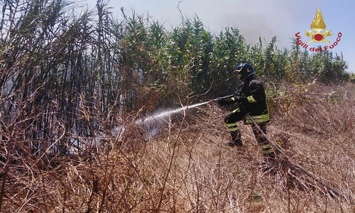 Incendio nella campagna tra Brindisi e San Pietro in contrada Scorsonara 