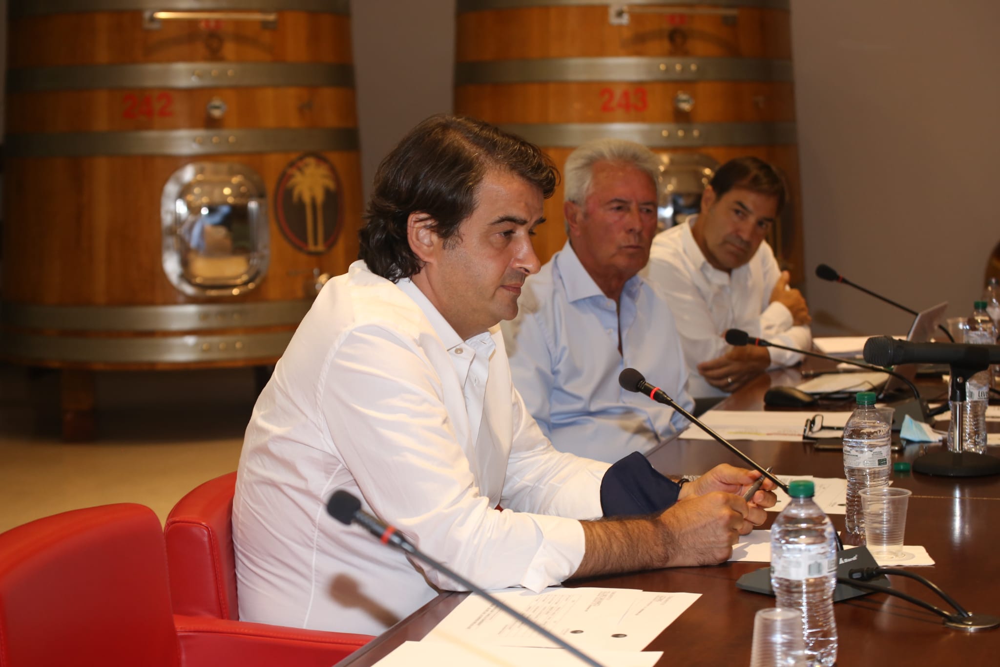 Assemblea Cantine Due Palme, Fitto(FdI): Sviluppo del settore vitivinicolo richiede continuo processo di innovazione