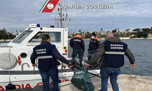Guardia costiera Brindisi:sequestrato pescato abusivo.Oltre 1000 esemplari di ricci di mare 
