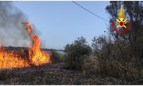 Nuovo incendio al bosco Lucchi a Mesagne 