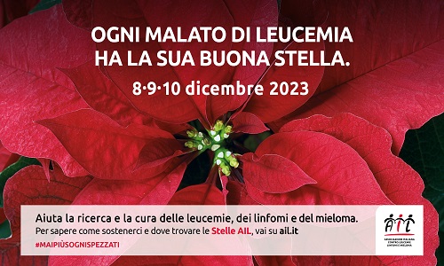 Stelle di Natale Ail 