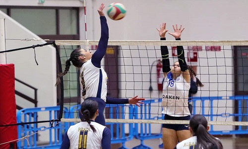 Aurora volley Brindisi  nuovo innesto