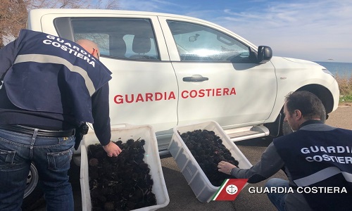 Guardia costiera vigilanza su punti di vendita prodotti ittici all'ingrosso ed al dettaglio 