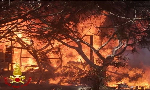 Brindisi incendio al parco del Cillarese 