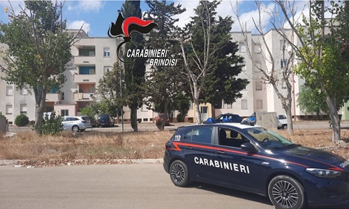 Carabinieri:controllo del territorio 