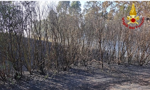 Brindisi incendio al Cillarese 