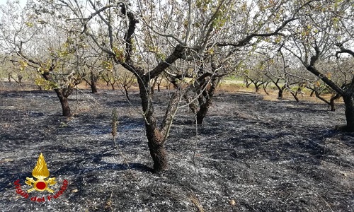 Ceglie Messapica un uomo trovato morto a seguito di un incendio 