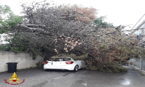 Brindisi i vigili del fuoco salvano una donna intrappolata nella sua auto per la caduta di un albero