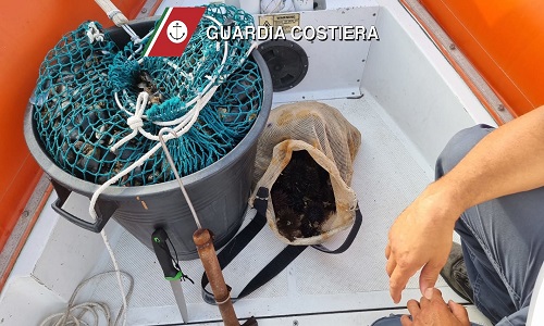 Brindisi Guardia Costiera sequestro di ricci e cozze nere 