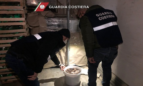 Guardia costiera operazione Spinnaker 