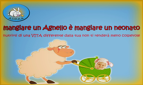 Pasqua, Aidaa: sulle tavole italiane 7000 tonnellate di agnello