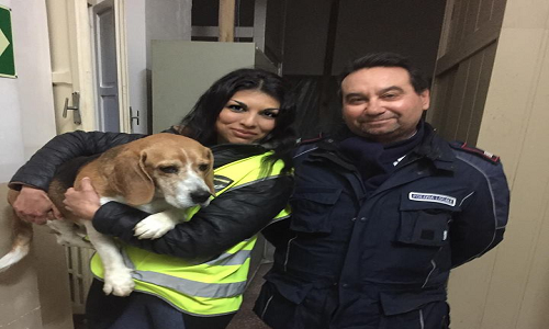 Brindisi: cane salvato fra le auto in corsa, il lieto fine con la Polizia Municipale