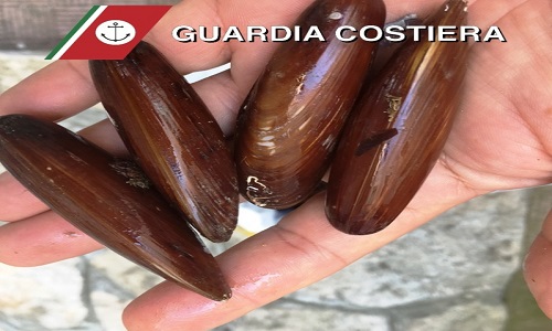 Brindisi: sequestrati 2,5kg di datteri nel porto 