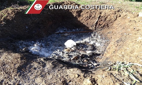 Brindisi: azienda agricola scaricava abusivamente reflui nel Canale Reale che poi sfociavano in piena zona “A” dell’area marina protetta di Torre Guaceto. Una denuncia 