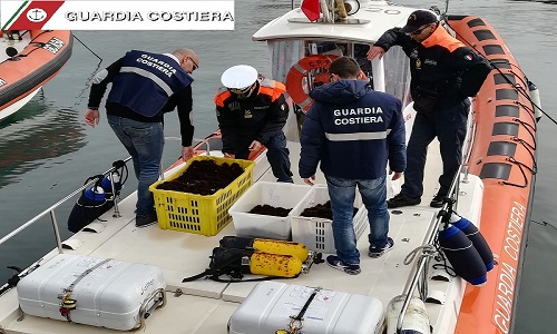 Brindisi: pescano abusivamente ricci di mare. Sequestrati 3.000 esemplari