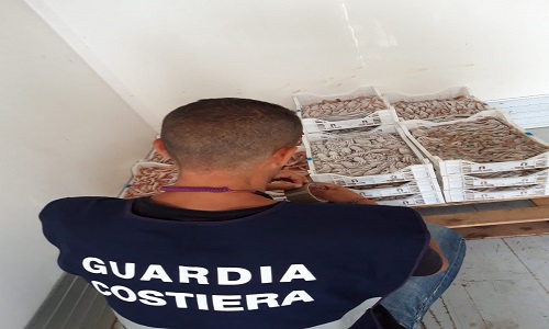 Brindisi: guardia costiera sequestra oltre un quintale di prodotti ittici