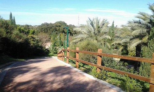 Brindisi, tragica scoperta: uomo trovato impiccato nel parco del Cillarese