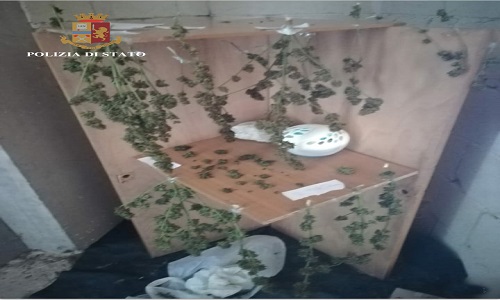 Ostuni: due arresti per detenzione ai fini di spaccio