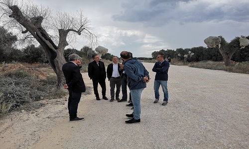 Sopralluogo del presidente Tanzarella sulle strade provinciali Mesagne-S.Pancrazio e S.Pietro V.co-Torchiarolo