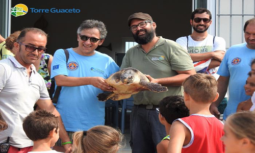 Torre Guaceto e Dune Costiere unite per la tartaruga Morelli