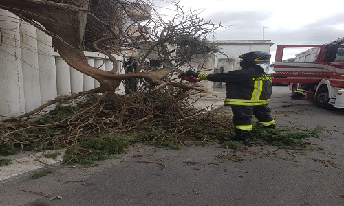 Ancora vento forte: diversi gli interventi dei vigili del fuoco  in città e in provincia 