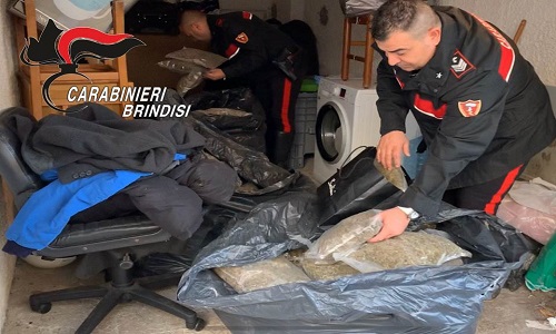 Brindisi: Deteneva in casa 145 Kg. di marijuana, in 433 involucri in plastica termosaldati, arrestato.