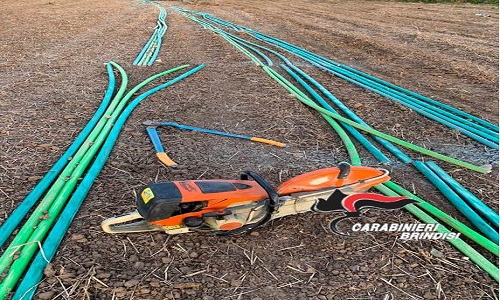 Brindisi: rubano 1400 metri di cavi in rame dalla rete di illuminazione dell’asse attrezzato per il trasporto del carbone alla centrale termoelettrica Enel “Federico II” di Cerano, quattro arresti.