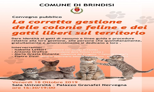 Domani convegno sulle colonie feline