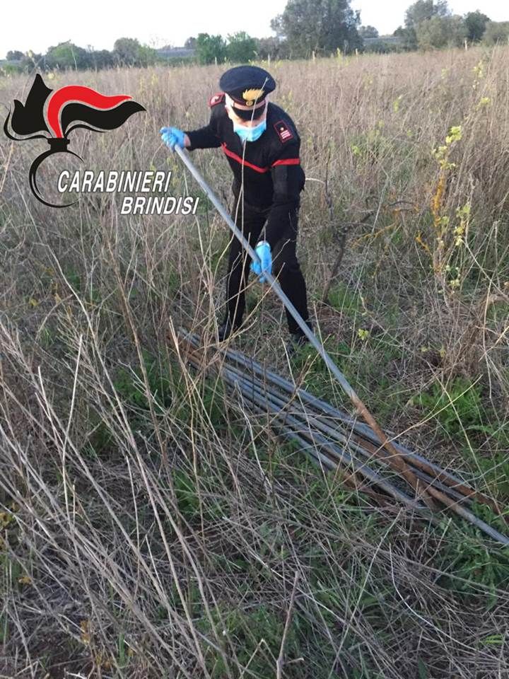 Francavilla Fontana. Sorpreso mentre estirpa 100 paletti in ferro per uso agricolo, arrestato.