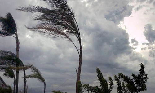 Allerta Meteo 28 gennaio: previsti venti da forti a burrasca