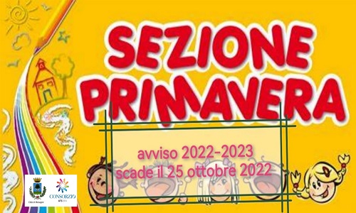 Potenziamento dei servizi per i minori, avviso pubblico per l’attivazione della Sezione Primavera 24-36 mesi